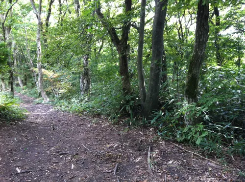 10 Best trails near Mt. Kongo | AllTrails 10 Best trails near Mt. Kongo | AllTrails