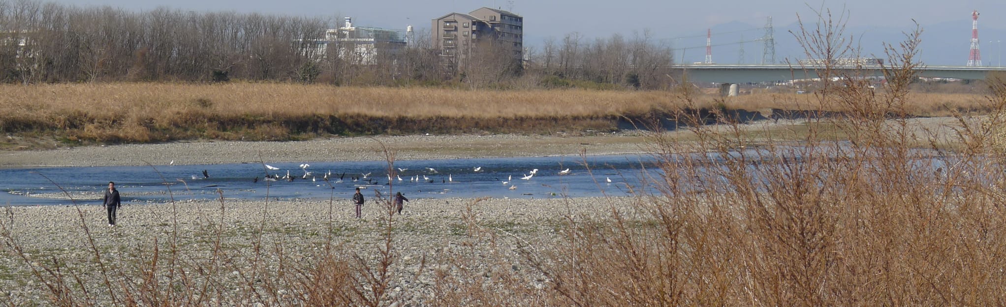 Tama Cycling Path Asakawa Takao 478 foto's Tokio, Japan Wandelen