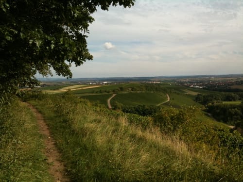 Neipperg - Lochwald - Krapfen