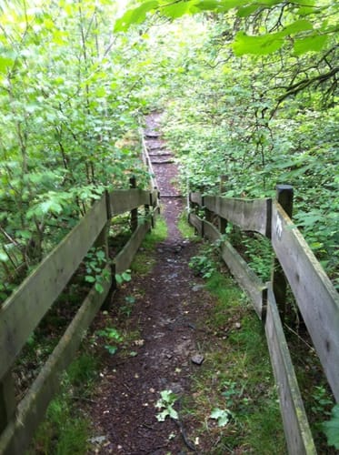 Steinhauerrunde (Bergische Streifzüge 8)