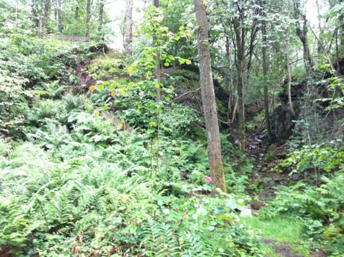 Steinhauerrunde (Bergische Streifzüge 8)