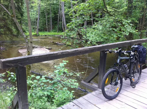 10 Best River Trails in Drawa National Park | AllTrails
