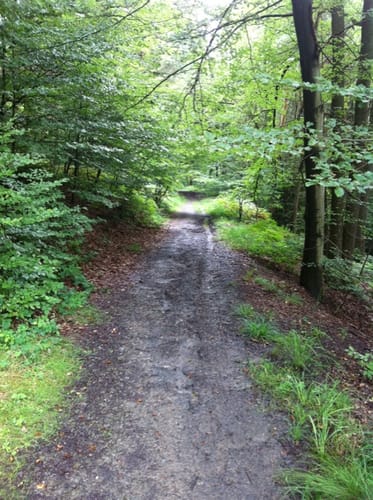 Oberschümmerich - Grünscheid
