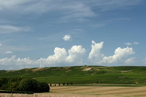 Von Hahnheim über den Selzer Berg ins Selztal