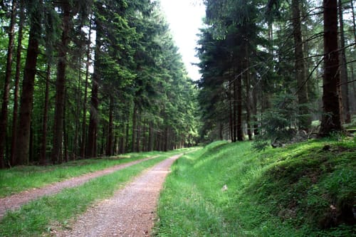Zum Hochsteinchen