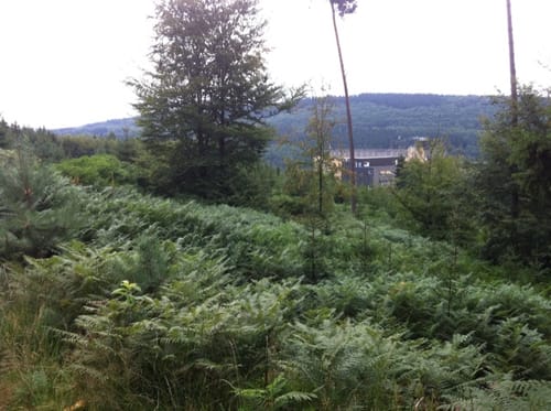 Oberschümmerich - Grünscheid