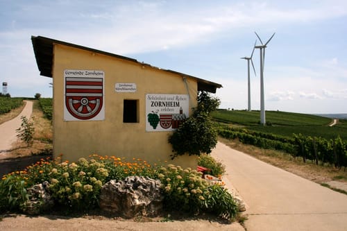 Von Hahnheim über den Selzer Berg ins Selztal