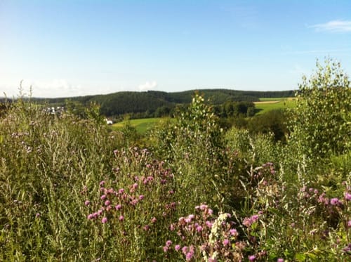 Bismarckeiche Rundweg A2: Um den Kohlenberg