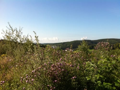 Bismarckeiche Rundweg A2: Um den Kohlenberg