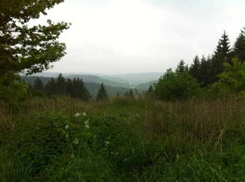 Bismarckeiche Rundweg A5 (Zur Heesquelle)