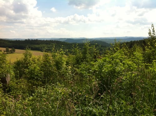 Bismarckeiche Rundweg A3 (Rund um Buchen)