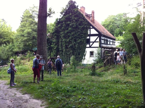 Mühlenwanderweg Etappe 2: Siehdichum - Wirchensee