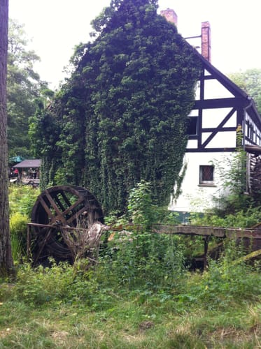 Mühlenwanderweg Etappe 2: Siehdichum - Wirchensee
