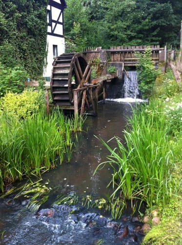 Mühlenwanderweg Etappe 2: Siehdichum - Wirchensee