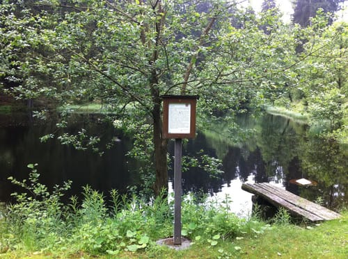 Großer Storchschnabel - Grubenteich