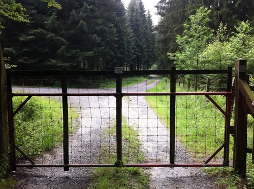 Großer Storchschnabel - Grubenteich