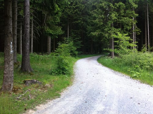 Evenkopf Rundweg A9