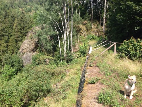 Röhrensteig US11