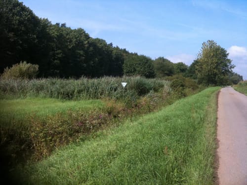 MainRoute Süd