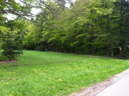 MTB Schluchtenweg-Tour