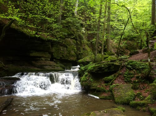 Wildes Monbachtal