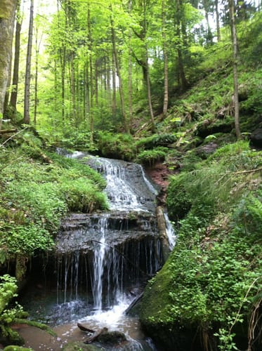 Wolfsschlucht und Fuchsklinge Hirsau