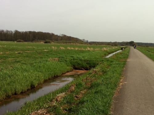 Steinhuder Meer Rundweg