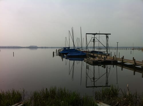 Steinhuder Meer Rundweg