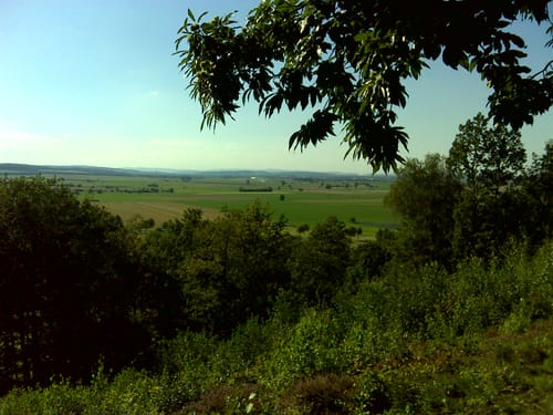 Ottbergen und Vorholz