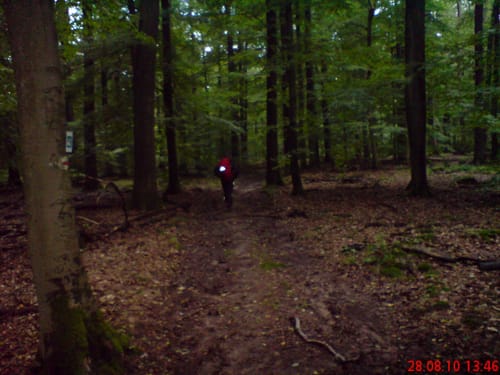 Ortswanderweg Flörsbachtal 5
