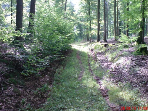 Ortswanderweg Flörsbachtal 5