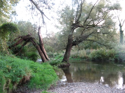 WasserWeg Wurm / Worm