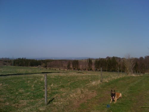 Rund um Ulrichstein
