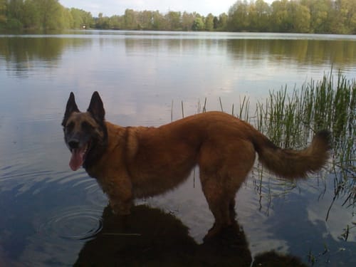 Um den Erlensee