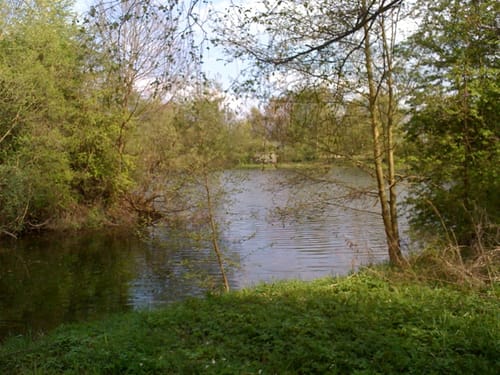 Um den Erlensee