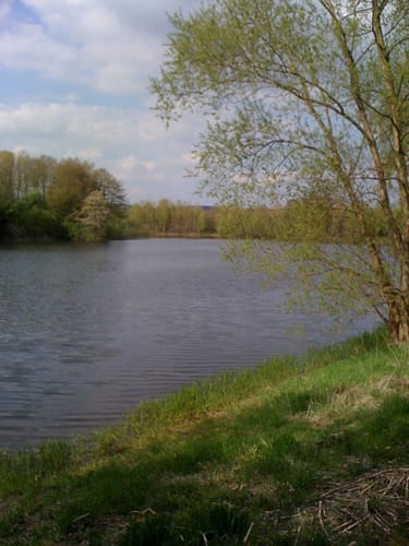 Um den Erlensee