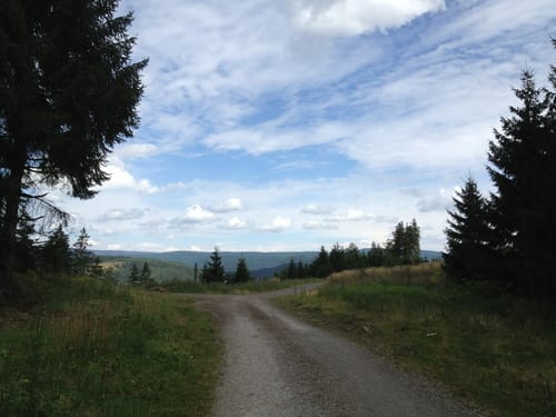Großer Knollen und Aschentalshalbe ab Bad Lauterberg