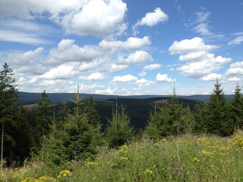 Großer Knollen und Aschentalshalbe ab Bad Lauterberg