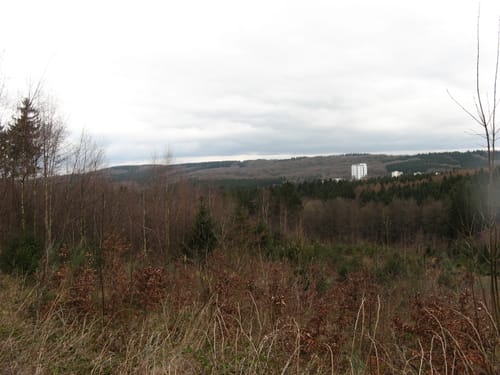 Preuswald