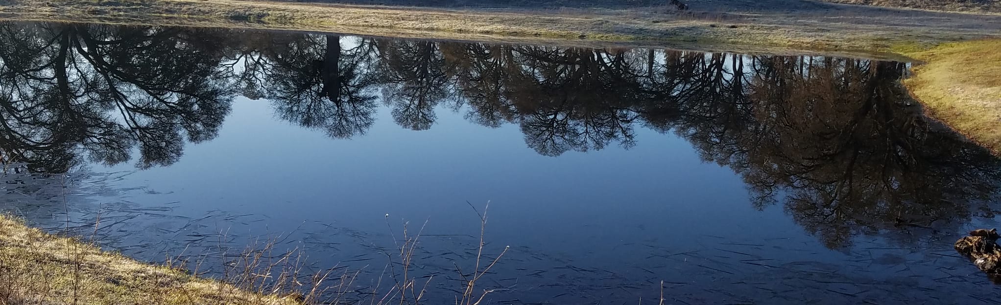 Pleasant Grove Creek Trail via Veterans Memorial Park, California 300