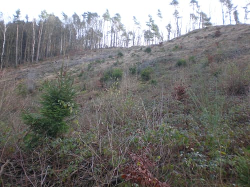 Erlebniswege Sieg: Der Landlebenweg