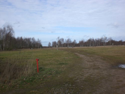 Drover Heide