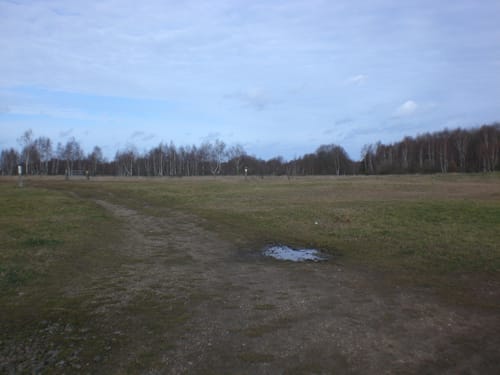 Drover Heide