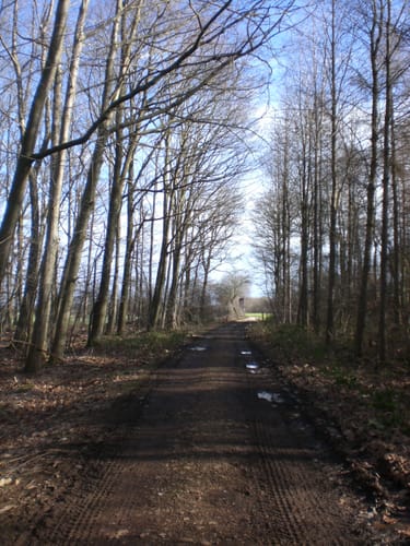 Drover Heide