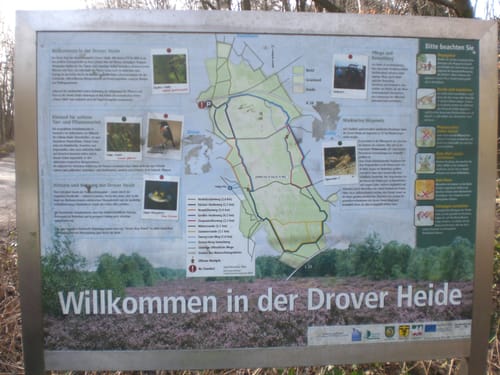 Drover Heide
