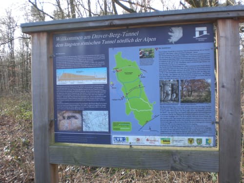 Drover Heide