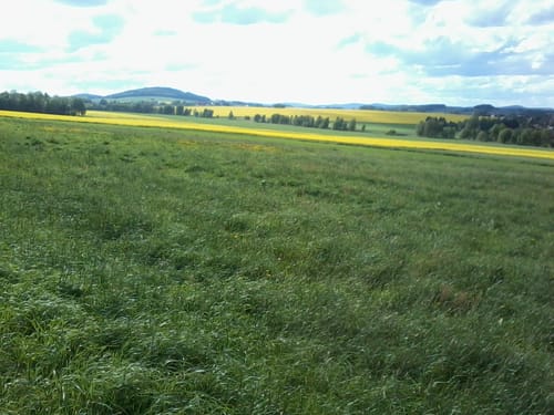 Lerchenberg Rundweg