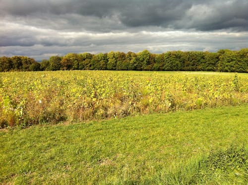 Terrainkurweg 2 Bad Staffelstein