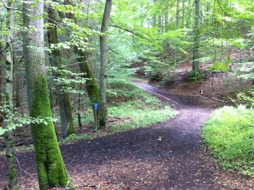 Großes Arolser Holz ab Kurpark Bad Arolsen