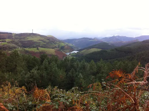 Best Forest Trails in Biotopo Protegido de la Zona Minera de Vizcaya